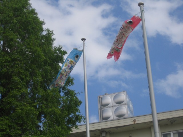 こいのぼり