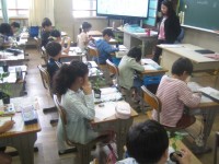 2年生活科苗のスケッチ
