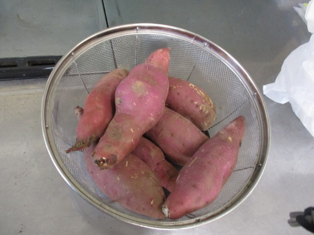 収穫したさつまいも