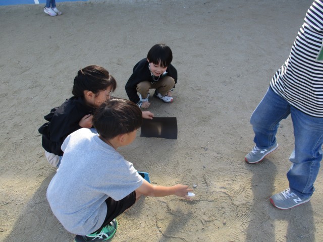 3年生理科　太陽の光