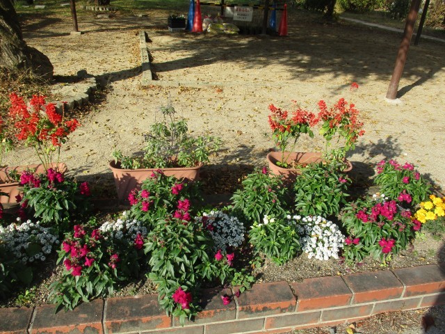 緑化委員の花壇