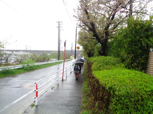 雨の中、一斉下校