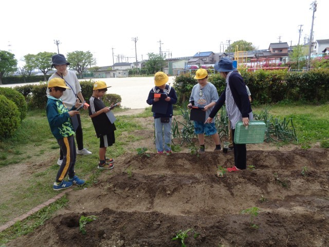 あすなろ学級の畑