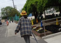 緑化委員　花の水やり