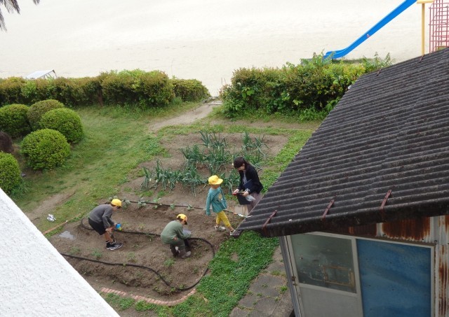 あすなろ畑の観察