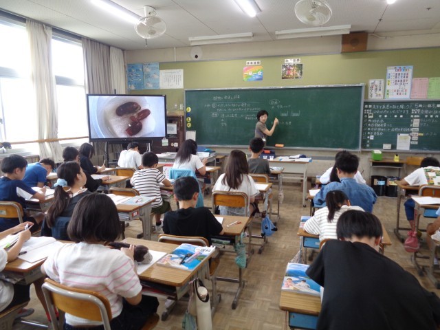 5年理科