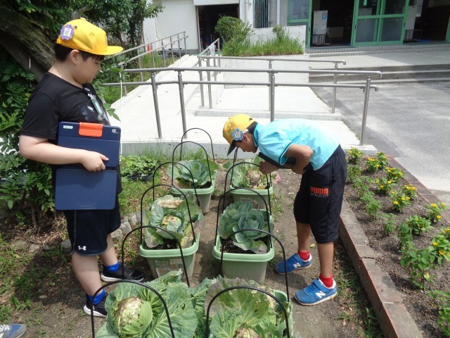 あすなろ　自然観察２