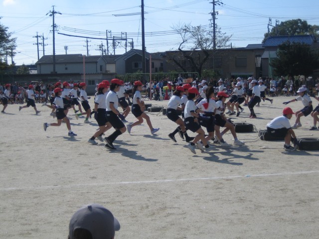５・６ねんペア競技の写真