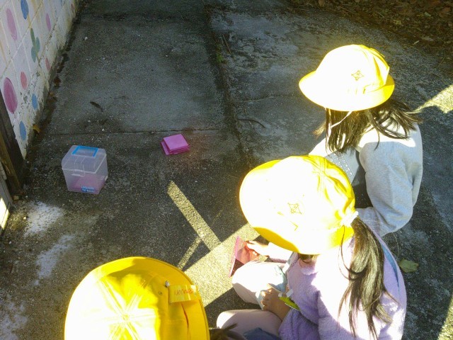 鏡で光を反射させ、光の絵を描く