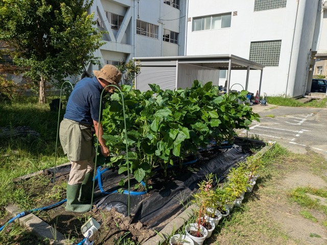 支柱の設置