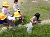 ２年生　生活科の授業