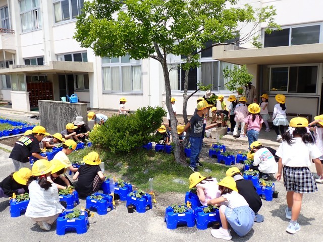 １年生　生活科の授業